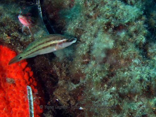 2006-08-08 10-11-26 01