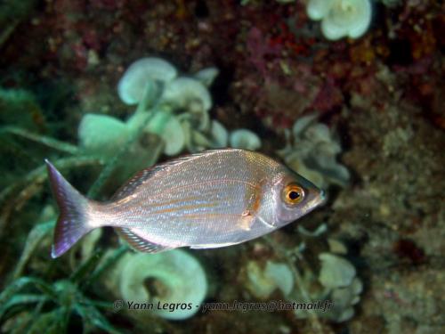 2006-08-08 10-12-32 01