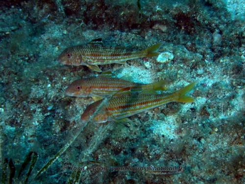 2006-08-08 10-14-56 01