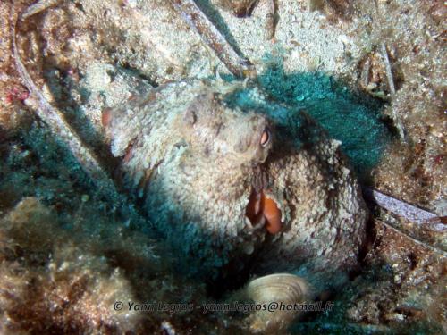 2006-08-08 10-15-58 01