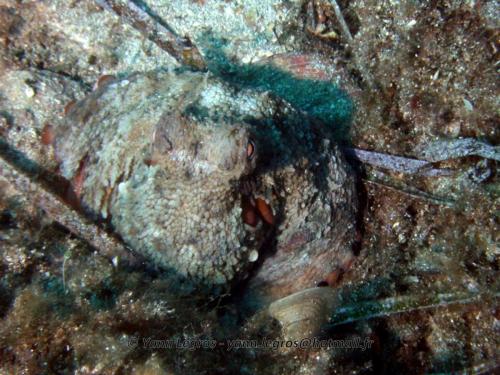 2006-08-08 10-16-09 01