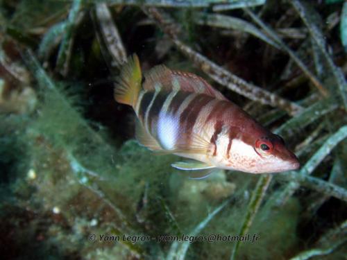 2006-08-08 10-23-11 01