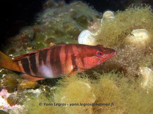 2006-08-08 10-28-36 01