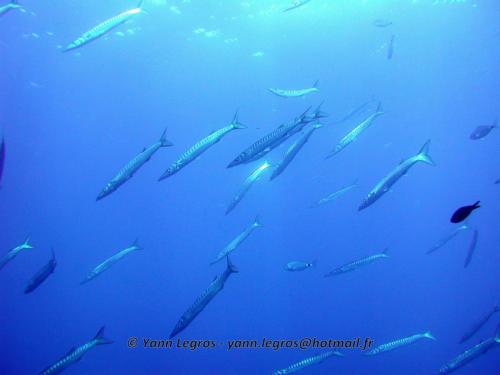 2006-08-08 10-30-22 01