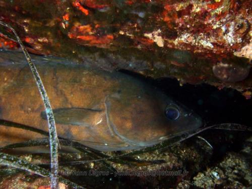 2006-08-08 10-33-31 01