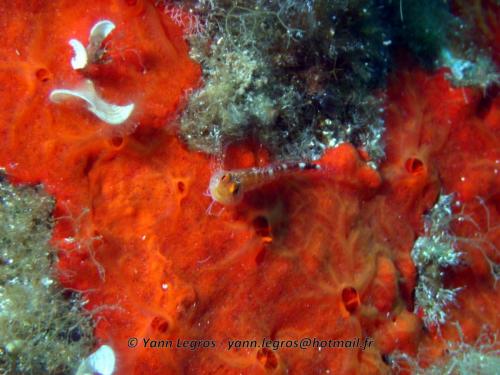 2006-08-08 10-38-28 01