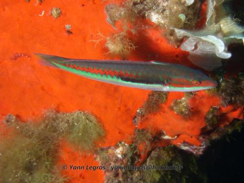 2006-08-08 10-40-36 01