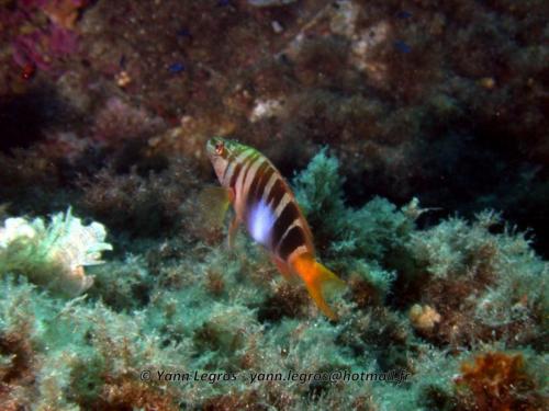 2006-08-08 10-41-04 01