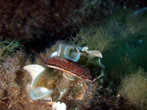 2006-08-08 10-43-36 01