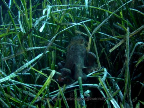 2006-08-08 10-45-29 01