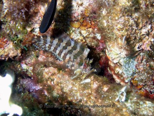 2006-08-08 10-48-47 01