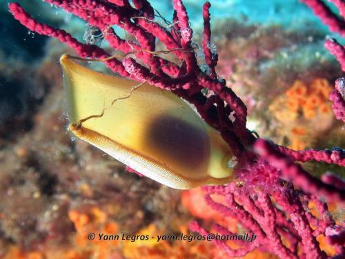 2008-08-05 15-51-22 bis