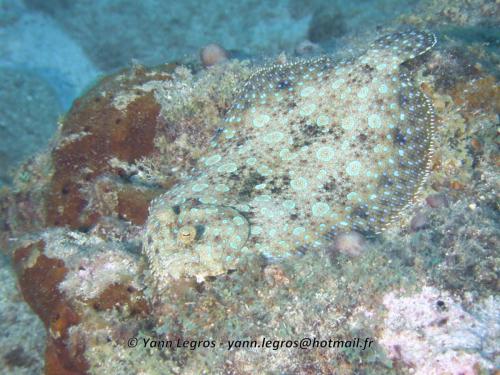 1601-01-01 01-00-00 01