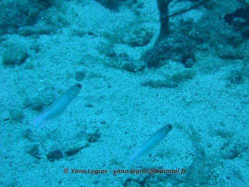 1601-01-01 01-00-00 06