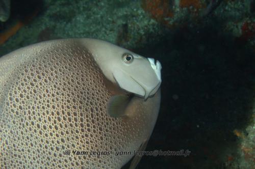 2013-01 Playa del Carmen