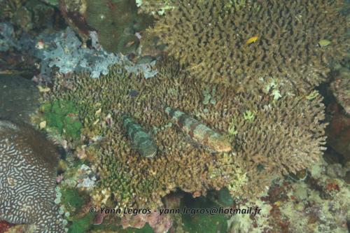 20180117 090420 2139