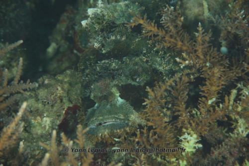 20180117 090933 2142