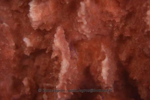 20180117 091207 2143