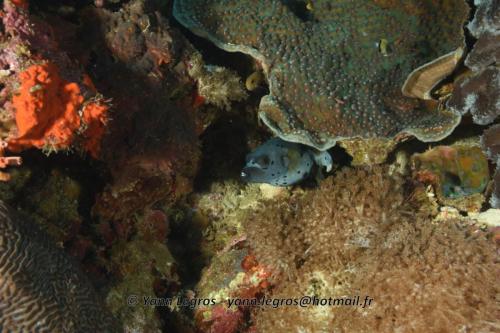 20180117 091339 2144