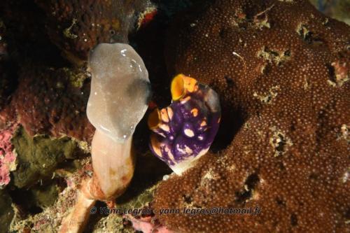 20180117 091607 2145