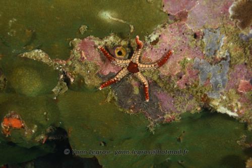 20180117 091731 2146