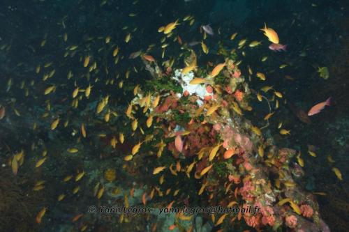 20180117 092411 2147