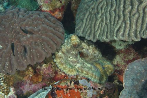 20180117 093519 2148