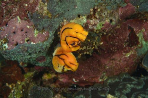 20180117 093734 2150