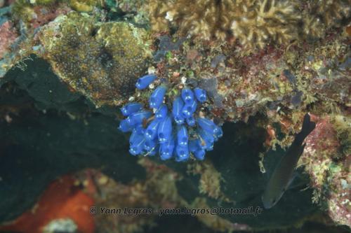 20180117 094337 2151