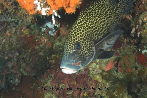 20180117 094943 2152