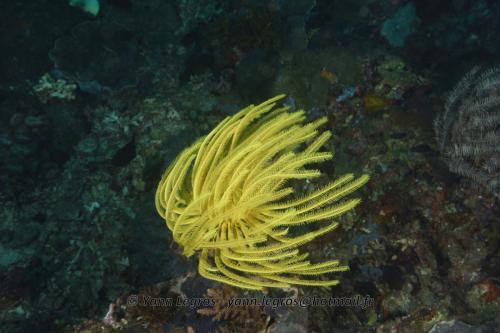 20180117 144948 2154