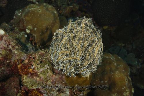 20180117 150156 2155