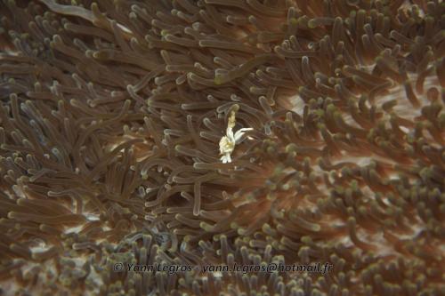 20180117 150315 2156