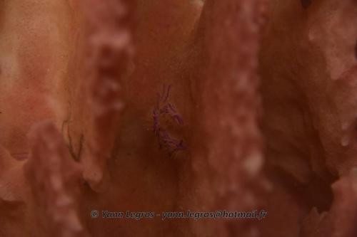 20180117 150729 2157