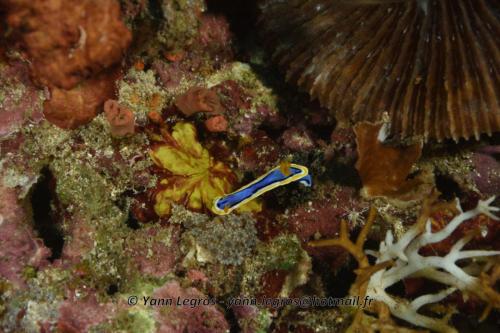 20180117 150945 2158