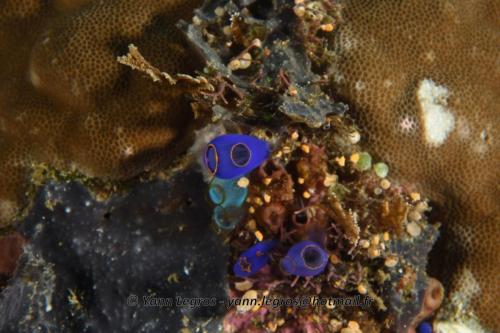 20180117 151340 2159