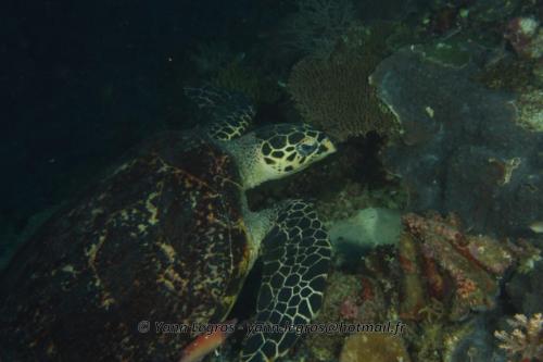 20180117 152101 2160