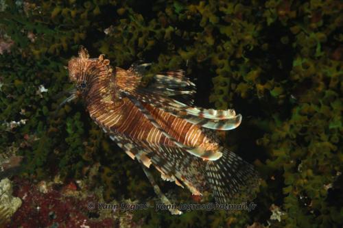 20180117 153357 2161