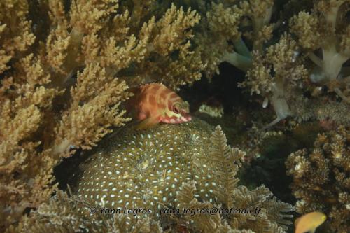 20180117 153738 2162