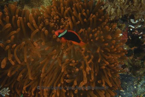 20180117 153959 2163