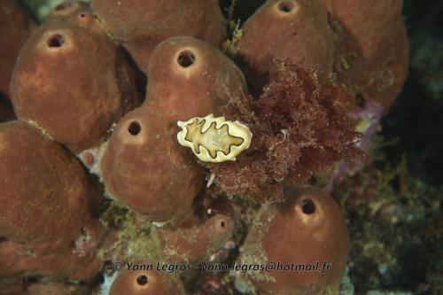 20180117 154039 2164