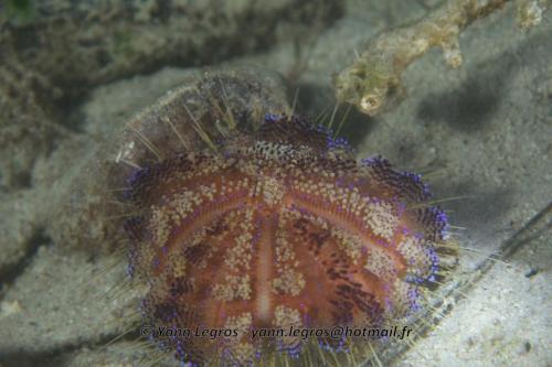 20180117 181050 2165