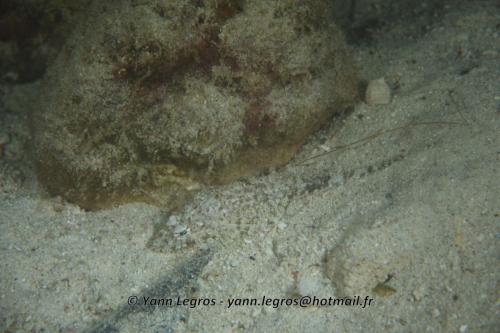 20180117 181533 2166