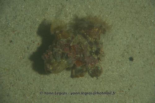 20180117 182127 2167