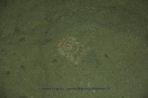 20180117 183220 2168