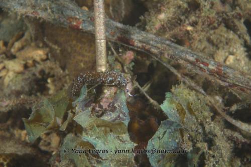 20180117 183504 2169