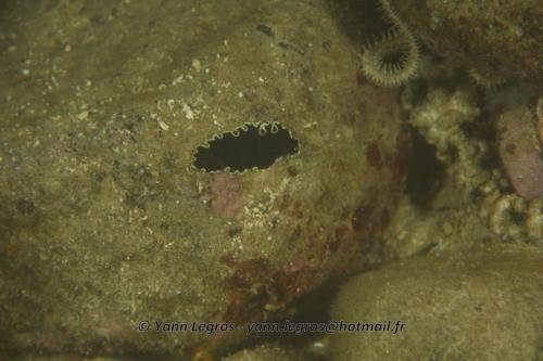 20180117 183733 2170