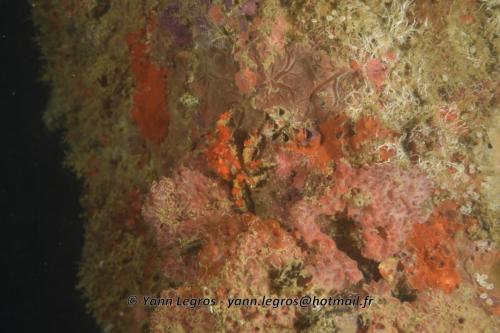 20180117 184122 2171