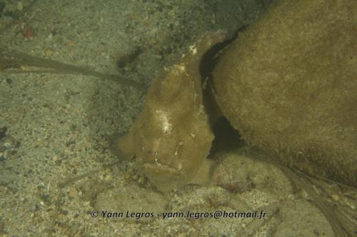 20180117 184231 2172