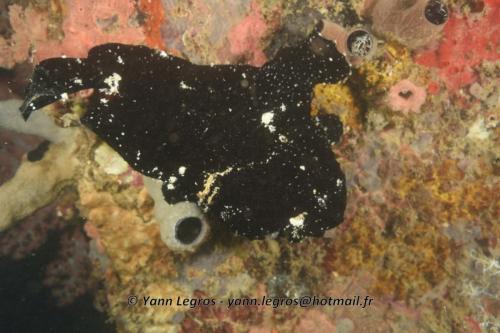 20180117 184550 2173